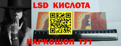 стаф Сланцы
