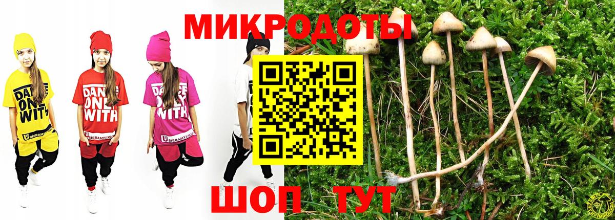 Наро-Фоминск  наркотики  Галлюциногенные грибы Psilocybine cubensis  Вход с VPN  Псилоцибиновые грибы Psilocybine cubensis 